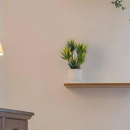 Appartement Casa Con Giardino Esclusivo In Piazza Trento Trieste Ferrare